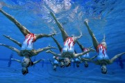湖人队迎来五连胜，士气高涨，湖人五连败比分